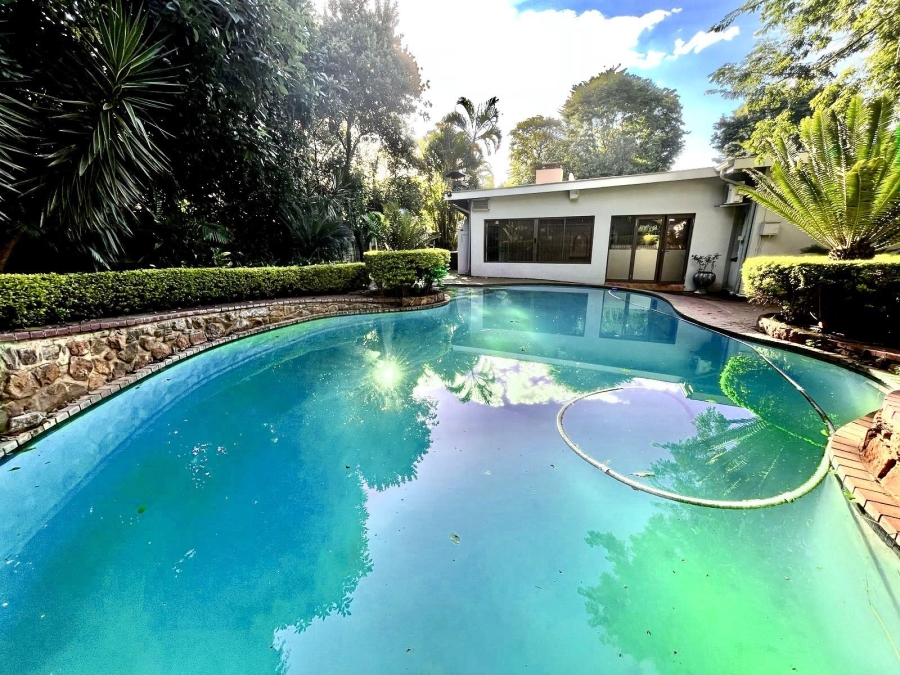 To Let 4 Bedroom Property for Rent in Protea Park North West